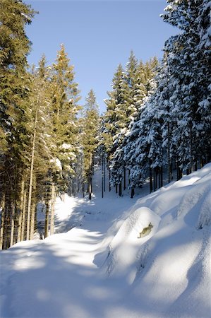 frosty walk countryside - footpath in a snowy forest, winter season, vertical orientation Stock Photo - Budget Royalty-Free & Subscription, Code: 400-05027992