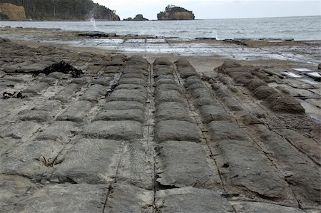 The natural phenomenon of tessellated pavement in Tasmania, caused by erosion of tectonic cracks in the rock Stock Photo - Budget Royalty-Free & Subscription, Code: 400-05028165