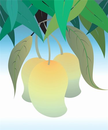 simsearch:400-04524035,k - Illustration of mangoes in mango tree Foto de stock - Super Valor sin royalties y Suscripción, Código: 400-05028201