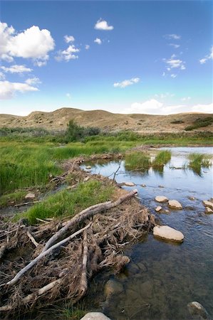 Beaver dam on the swift current creek near Stewart Valley Photographie de stock - Aubaine LD & Abonnement, Code: 400-05028231