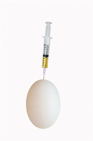 Conceptual image of syringe protruding from an egg; viral vaccine production often relied on the use of chicken eggs Stock Photo - Budget Royalty-Free & Subscription, Code: 400-05028447