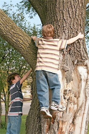 simsearch:400-04195162,k - Two Boys Having Fun Climbing a Big Tree Foto de stock - Super Valor sin royalties y Suscripción, Código: 400-05028641