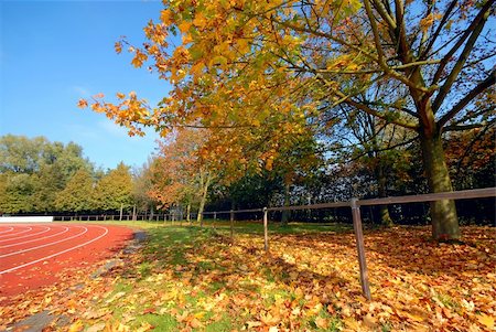 simsearch:400-03942081,k - Runners racetrack going left with a tree in fall Foto de stock - Royalty-Free Super Valor e Assinatura, Número: 400-05028666