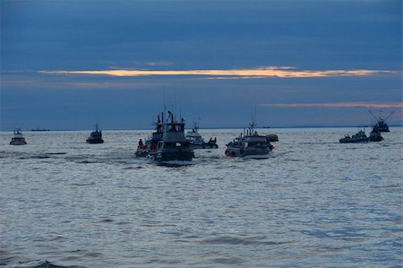 A view of many boats fishing in the Naknek river of Bristol Bay during the red salmon season. Stock Photo - Budget Royalty-Free & Subscription, Code: 400-05020103
