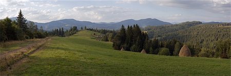 forest path panorama - Summer mountainous green meadow with stackes of hay (Slavske village, Carpathian Mts, Ukraine) Stock Photo - Budget Royalty-Free & Subscription, Code: 400-05020594