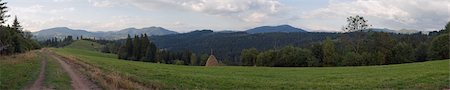 simsearch:400-06063989,k - Summer mountainous green meadow with stackes of hay (Slavske village, Carpathian Mts, Ukraine). Eight shots composite picture. Foto de stock - Royalty-Free Super Valor e Assinatura, Número: 400-05020595