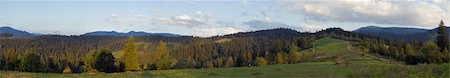 forest path panorama - Summer panorama view on mountainous green pasture meadow  (Slavske village, Carpathian Mts, Ukraine). Eleven shots composite picture. Stock Photo - Budget Royalty-Free & Subscription, Code: 400-05020596