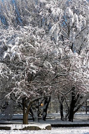 simsearch:400-04800962,k - winter park path in snow covered city park Stockbilder - Microstock & Abonnement, Bildnummer: 400-05020628