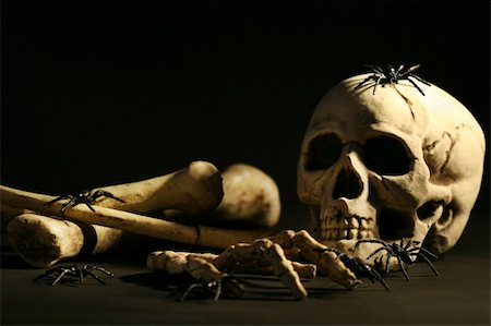 skeletons human not illustration not xray - Halloween skull and bones Stock Photo - Budget Royalty-Free & Subscription, Code: 400-05020891