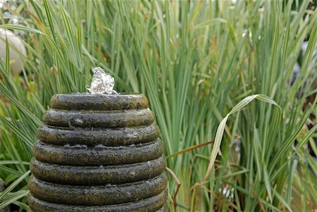 water fountain inside the horticulture parks Stock Photo - Budget Royalty-Free & Subscription, Code: 400-05021525