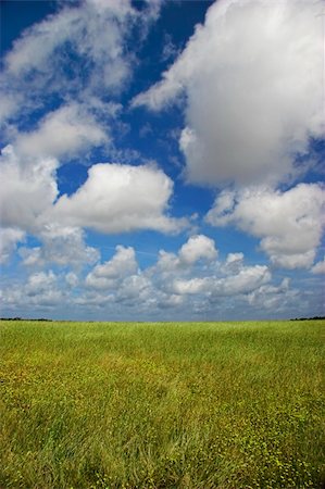 simsearch:400-03917413,k - Landscape of a green meadow with a beautiful blue sky Stockbilder - Microstock & Abonnement, Bildnummer: 400-05023368