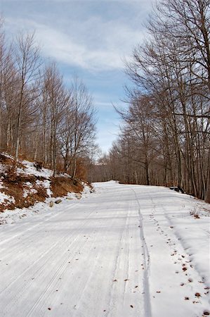 simsearch:400-05063238,k - winter forest road covered with snow Stock Photo - Budget Royalty-Free & Subscription, Code: 400-05023868