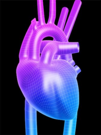 simsearch:400-04008696,k - 3d rendered anatomy illustration of a human heart Photographie de stock - Aubaine LD & Abonnement, Code: 400-05034478
