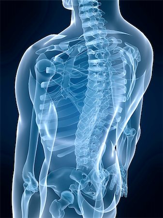 simsearch:400-04003518,k - 3d rendered x-ray illustration of a human skeletal back Fotografie stock - Microstock e Abbonamento, Codice: 400-05034479