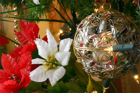 christmas bauble and lights with poinsettia on the christmas tree Stock Photo - Budget Royalty-Free & Subscription, Code: 400-05035037