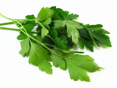 regime - Bunch of parsley over a white background Stock Photo - Budget Royalty-Free & Subscription, Code: 400-05035990