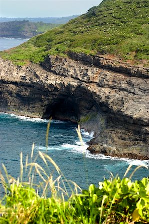 Bird sanctuary if rough and rugged terrain that is protected by law.  Kilauea Point surrounded by wind and waves.  Kauai, Hawaii. Stock Photo - Budget Royalty-Free & Subscription, Code: 400-05037481