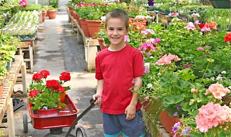 Little Boy Pulling Flowers in a Wagon Stock Photo - Budget Royalty-Free & Subscription, Code: 400-05038068