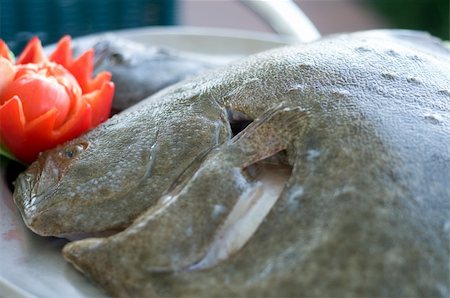 simsearch:400-04505555,k - fresh turbot with vegetables ready to cook, focus on eye Foto de stock - Royalty-Free Super Valor e Assinatura, Número: 400-05038544