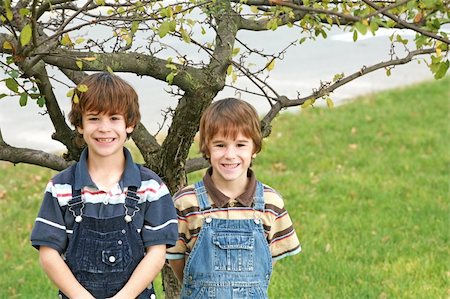 simsearch:400-05875962,k - Brothers  Standing in Front of a Little Tree Photographie de stock - Aubaine LD & Abonnement, Code: 400-05039935