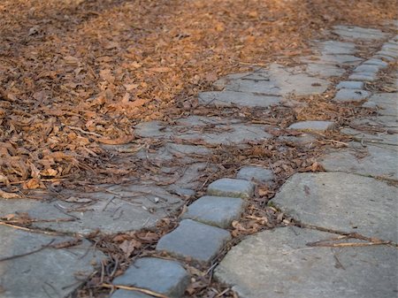 simsearch:700-02990008,k - Close-up view of anchient brick path in the park on autumn Foto de stock - Royalty-Free Super Valor e Assinatura, Número: 400-05030694