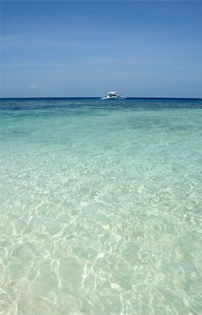 diving liveaboard in sulu sea the philippines Foto de stock - Super Valor sin royalties y Suscripción, Código: 400-05030746