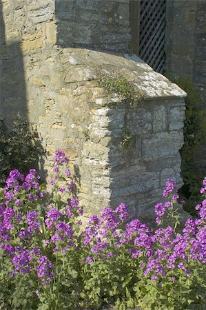 Garden stokesay castle shropshire england uk Stock Photo - Budget Royalty-Free & Subscription, Code: 400-05031352