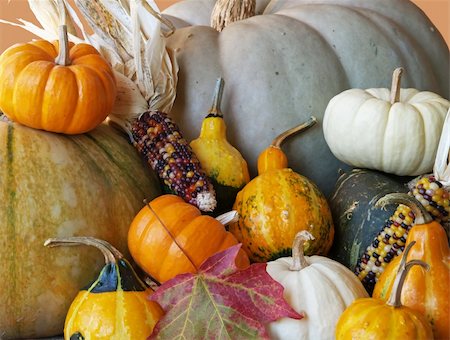 sparkia (artist) - an assortment of fall pumpkins, squash, gourds and leaves Stockbilder - Microstock & Abonnement, Bildnummer: 400-05031838