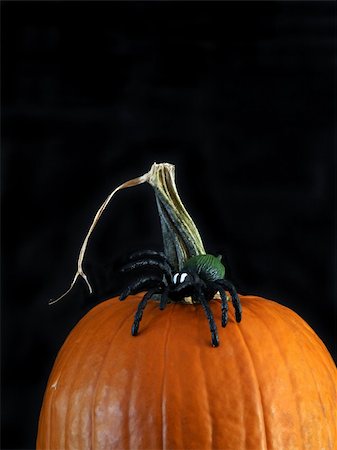 sparkia (artist) - orange pumpkin with a spider for Halloween Stockbilder - Microstock & Abonnement, Bildnummer: 400-05031853