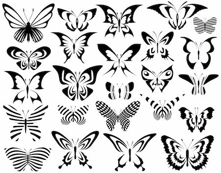 falena - Set of editable vector generic butterfly designs Fotografie stock - Microstock e Abbonamento, Codice: 400-05032107