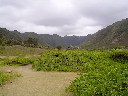 Halawa Valley, Hawaii Foto de stock - Super Valor sin royalties y Suscripción, Código: 400-05032165