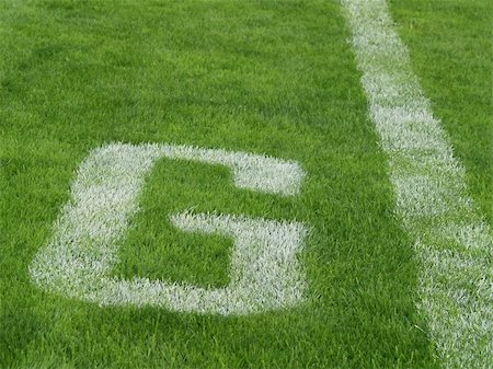 sparkia (artist) - goal line - G - on an American football field Stockbilder - Microstock & Abonnement, Bildnummer: 400-05032242