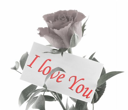 simsearch:400-05033064,k - Single rose with I LOVE YOU message Foto de stock - Royalty-Free Super Valor e Assinatura, Número: 400-05033121