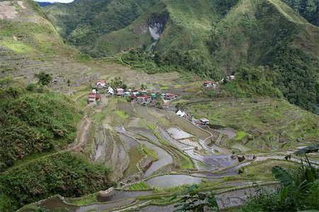 simsearch:400-05071386,k - rice terraces in northern luzon the philippines Fotografie stock - Microstock e Abbonamento, Codice: 400-05044040