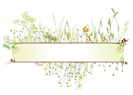 simsearch:400-04595369,k - grass frame / vector  illustrarion / natural elements Stockbilder - Microstock & Abonnement, Bildnummer: 400-05044811