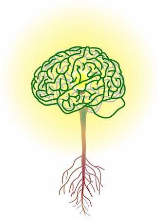 vector illustration for a brain tree, inside is a lightning bulbs, metaphors Stock Photo - Budget Royalty-Free & Subscription, Code: 400-05045100