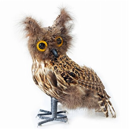 simsearch:400-04438029,k - Small wild owl bird staffed on white Stock Photo - Budget Royalty-Free & Subscription, Code: 400-05045221