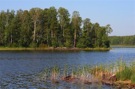 Late afternoon on lake, forest at opposite side Stock Photo - Budget Royalty-Free & Subscription, Code: 400-05045322