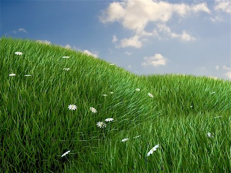 simsearch:400-07097368,k - 3d rendered illustration of green hills with white flowers Photographie de stock - Aubaine LD & Abonnement, Code: 400-05046593