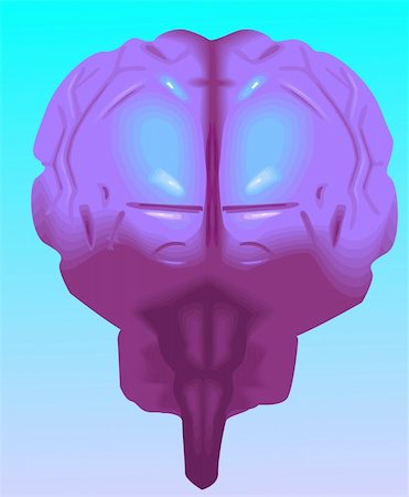 diencephalon - Illustration of human brain in violet background Stock Photo - Budget Royalty-Free & Subscription, Code: 400-05046889