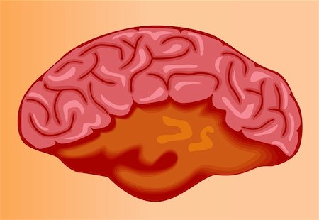 Illustration of human brain in brown background Stock Photo - Budget Royalty-Free & Subscription, Code: 400-05046882