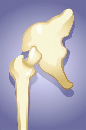 physical education - Illustration of human shoulder joint  bone Photographie de stock - Aubaine LD & Abonnement, Code: 400-05046899