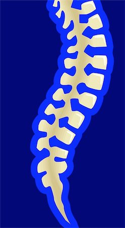 physical education - Illustration of human spine in blue background Photographie de stock - Aubaine LD & Abonnement, Code: 400-05046893