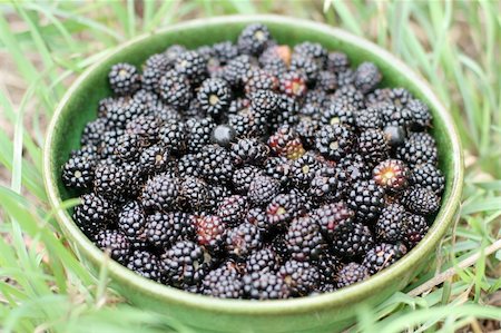 simsearch:400-05079848,k - Blackberries in the bowl. Focus on berries. Foto de stock - Super Valor sin royalties y Suscripción, Código: 400-05048027