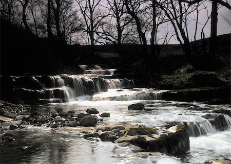 simsearch:400-04476069,k - Swaledale in the yorkshire dales national park england uk Photographie de stock - Aubaine LD & Abonnement, Code: 400-05049082