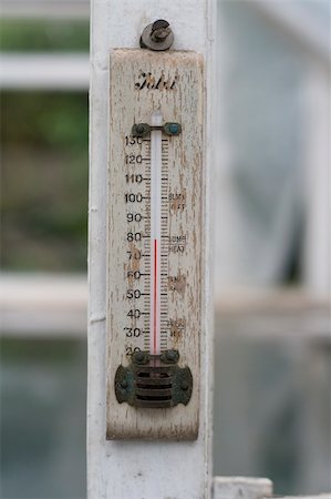 Old thermometer in greenhouse . . . Fotografie stock - Microstock e Abbonamento, Codice: 400-05040756
