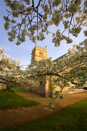 Trees in blossom at overbury church worcestershire. Foto de stock - Super Valor sin royalties y Suscripción, Código: 400-05041571