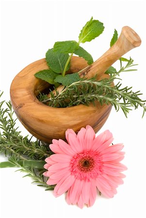 simsearch:400-04544414,k - Healthy aromatic herbs in a spa (mint, rosemary, aloe vera in a carved olive tree mortar and pestle Stock Photo - Budget Royalty-Free & Subscription, Code: 400-05041704