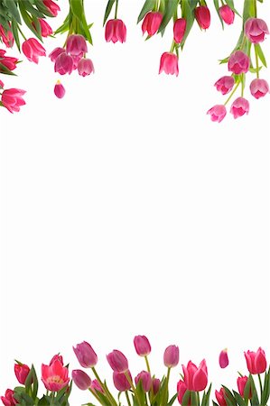 Beautiful flower frame Foto de stock - Royalty-Free Super Valor e Assinatura, Número: 400-05041711