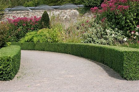 Curved garden path with clipped hedging either side and flowers and shrubs beyond. Stock Photo - Budget Royalty-Free & Subscription, Code: 400-05041968